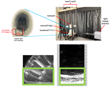 Dr. Tartis project image